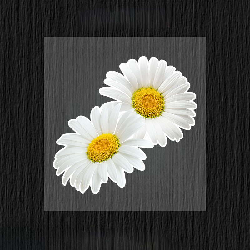 1pc Fashion Daisy Car Stickers - Yellow Laptop Accessories recensie en prijs