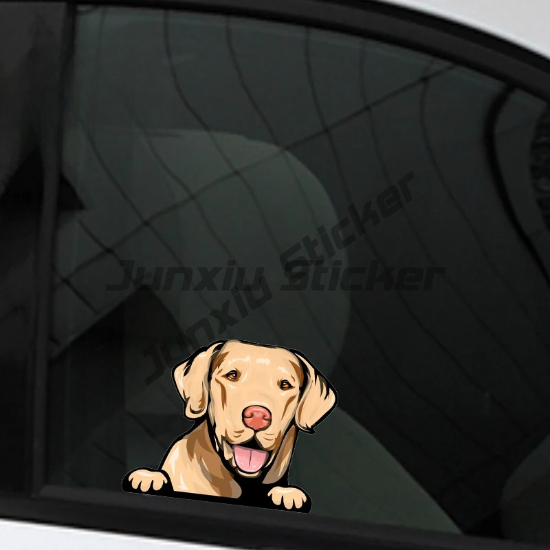 Labrador Retriever Peeker Car  - Yellow Laptop Accessories recensie en prijs