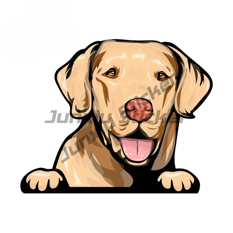 Labrador Retriever Peeker Car  - Yellow Laptop Accessories recensie en prijs